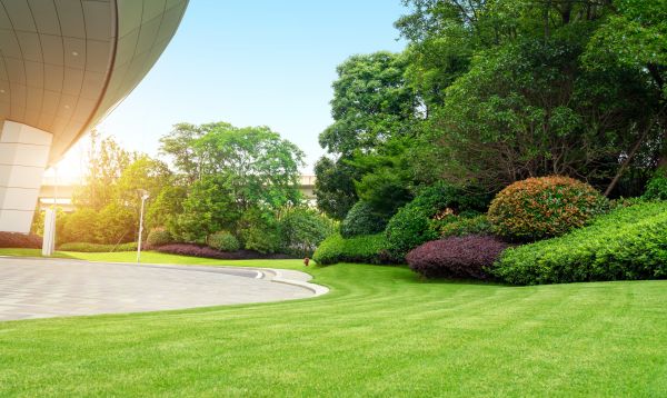 Commercial Lawn Care in Kaysville