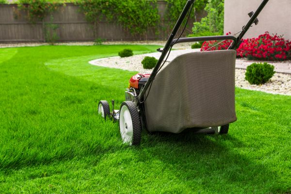 Home Yard Maintenance in Kaysville