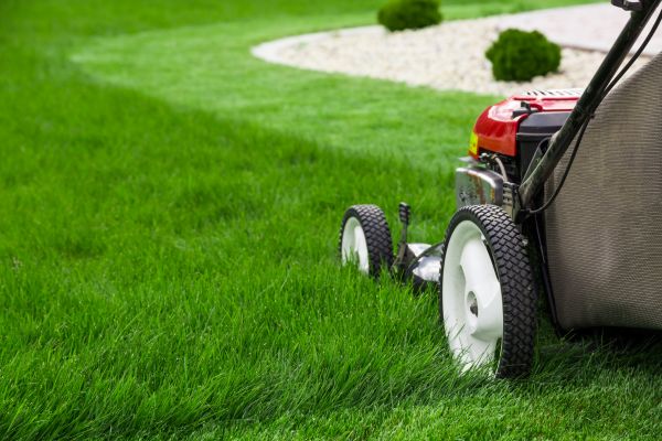 Lawn Cutting Service in Kaysville