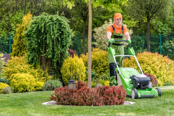 Yard Service in Kaysville