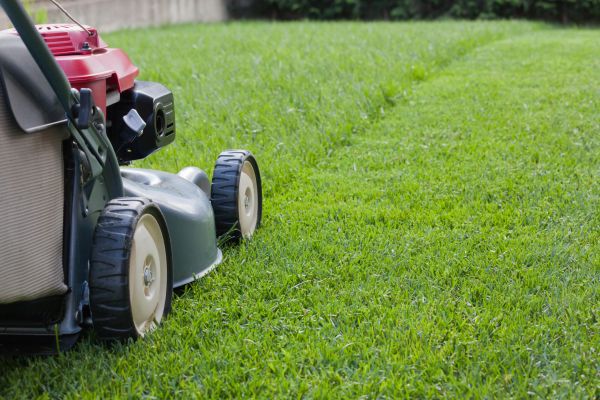 Residential Lawn Care in Kaysville