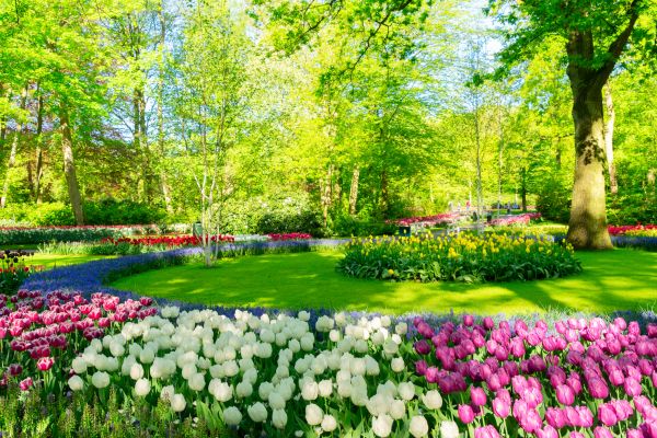 Spring Lawn Care in Kaysville