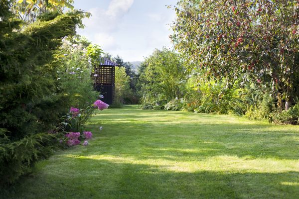 Cost of Yard Upkeep Service in Kaysville