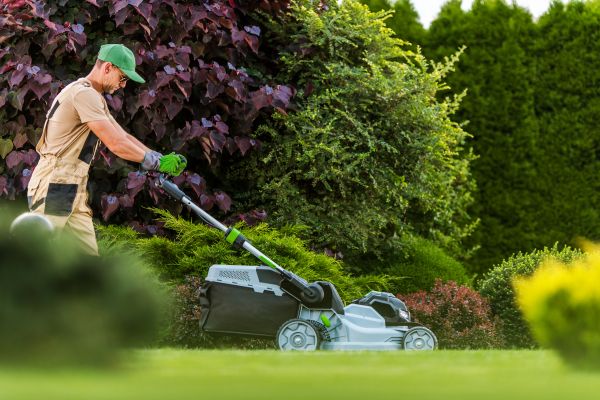 Lawn Management in Kaysville
