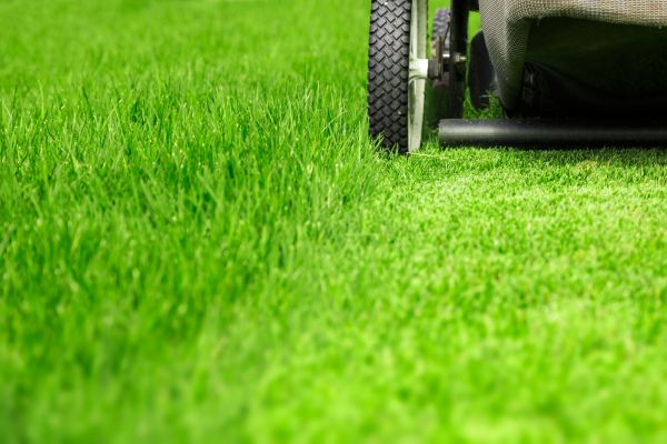 Weekly Lawn Care in Kaysville