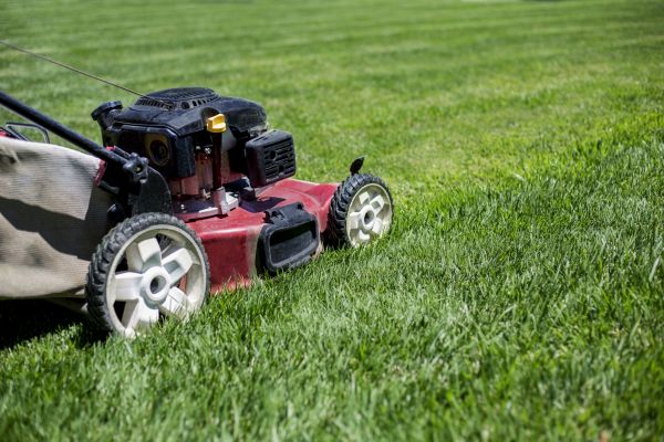 Cost of Routine Lawn Care in Kaysville