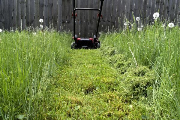 High Grass Mowing in Kaysville