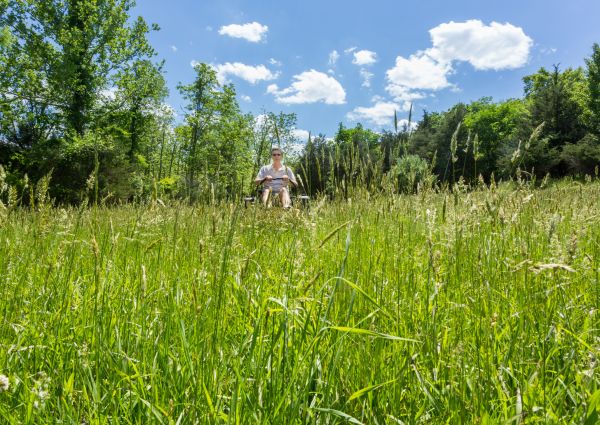 Long Grass Mowing in Kaysville