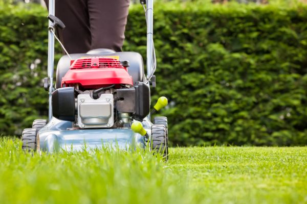 Grass Trimming Service in Kaysville
