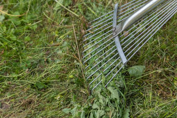 Thatch Raking in Kaysville