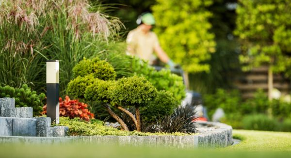 Residential Yard Maintenance in Kaysville