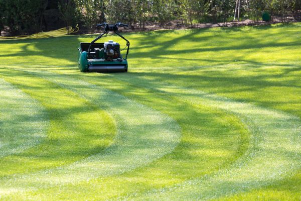 Business Lawn Mowing in Kaysville