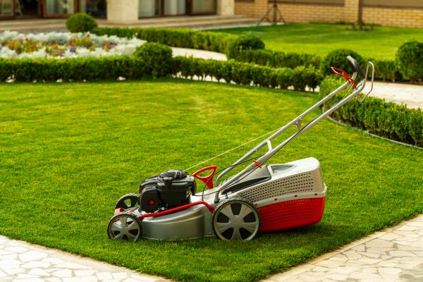 Business Grass Cutting in Kaysville