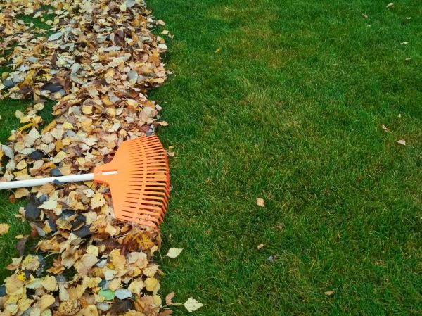 Fall Lawn Care in Kaysville