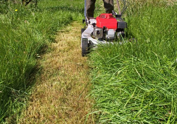 Leaf Mowing in Kaysville
