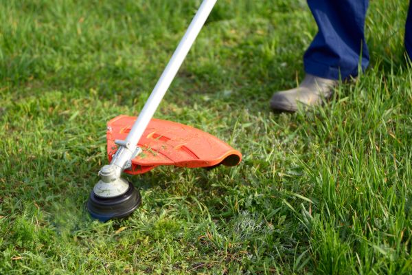 Lawn Weed Whacking in Kaysville