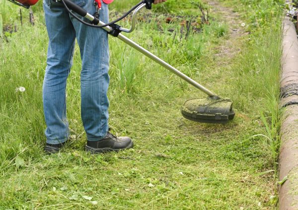 Cost of Tall Grass Trimming in Kaysville