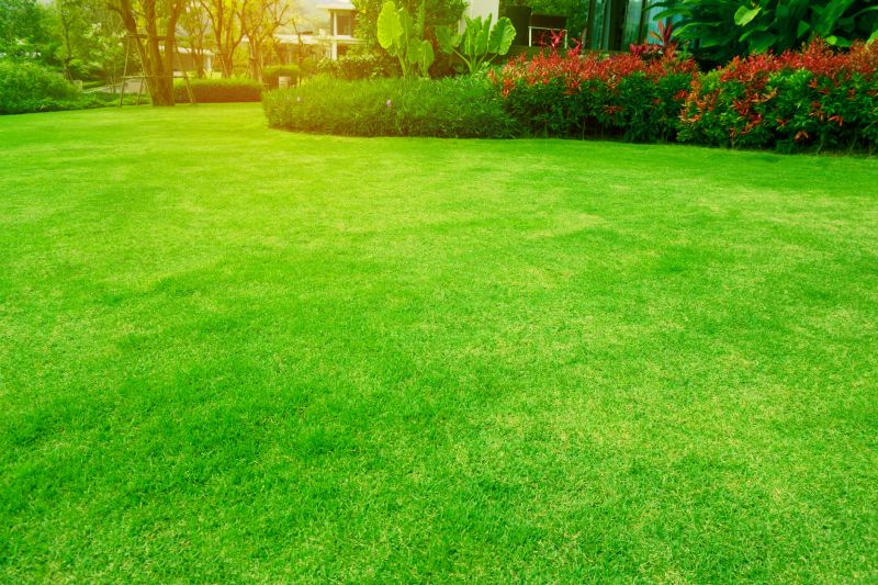 Routine Lawn Maintenance